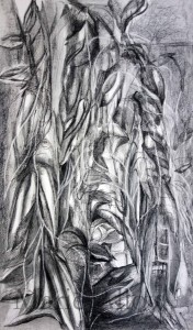 Plantations M Alloy