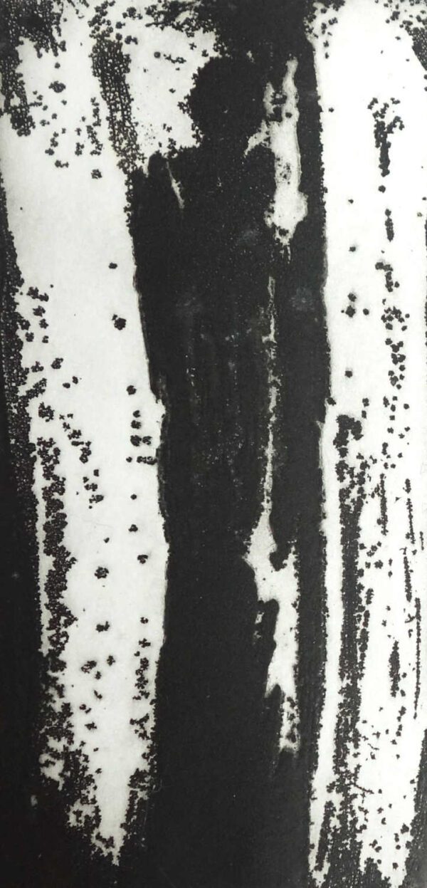 POÈME SERRÉ d'Antoine Emaz – Image 2