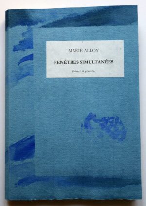 FENÊTRES SIMULTANÉES (livre unique)