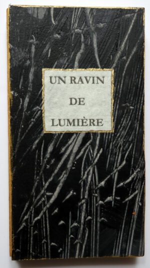 UN RAVIN DE LUMIÈRE (livre unique, leporello)