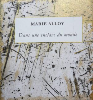 DANS UNE ENCLAVE DU MONDE (livre unique)- épuisé